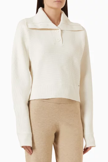 Volume Knit Henley Sweater in Cotton Blend