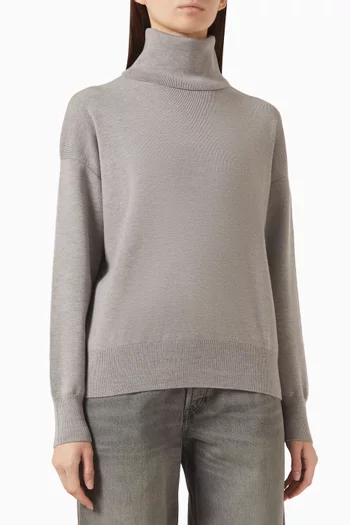 Turtleneck Sweater in Knit