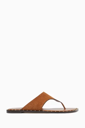 Soléa Flat Sandals in Suede