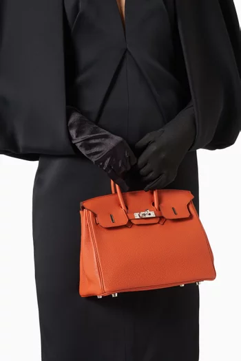 Birkin 25 Bag in Togo Leather