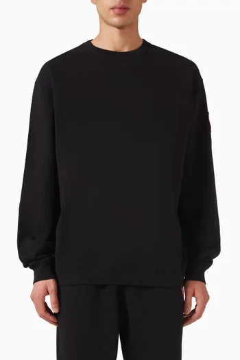 Loon Sweatshirt in Knit