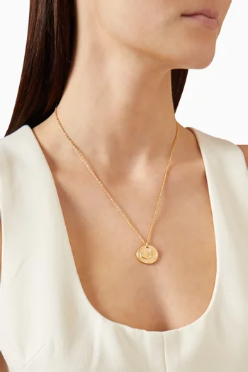 Fortune Talisman Necklace