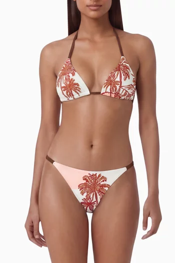 Flash Embroidered Low-rise Bikini Briefs