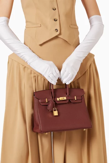 Birkin 25 in Togo Leather