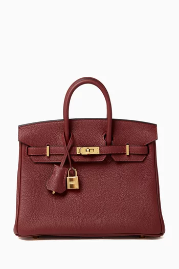 Birkin 25 in Togo Leather