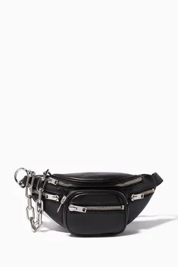 Alexander wang fanny pack mini on sale