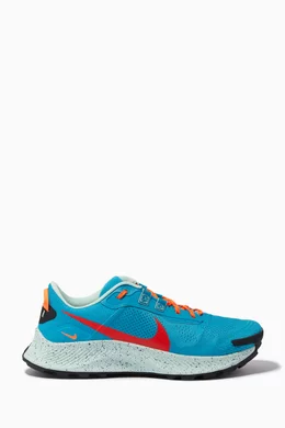 Nike pegasus 3 mens online