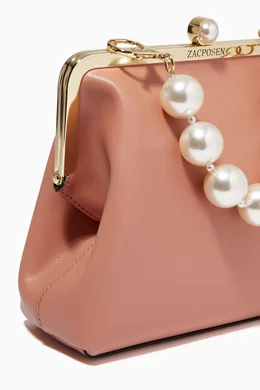 Zac zac posen clutch shop
