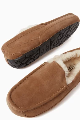Ascot slipper hot sale