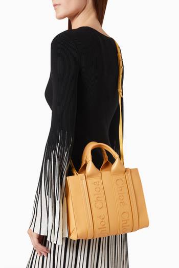hover state of Small Woody Embroidered Tote Bag in Calfskin Leather