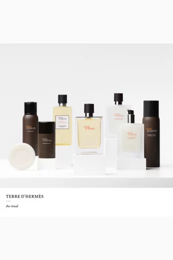 Terre d'Hermes After-shave Lotion, 100ml