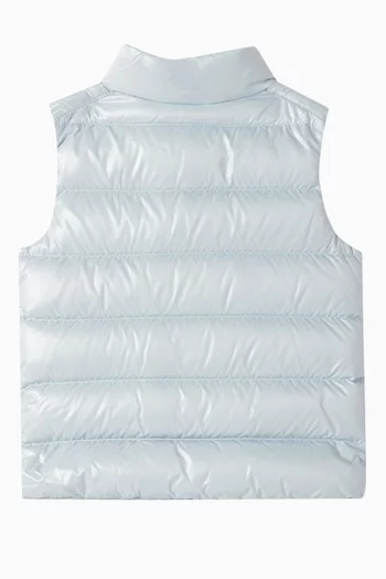 Bernard Down Vest in Nylon