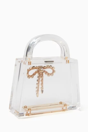 Eva Bow-embellished Top-handle Bag in Acrylic