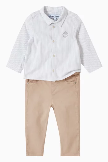 Classic Button Down Shirt in Cotton