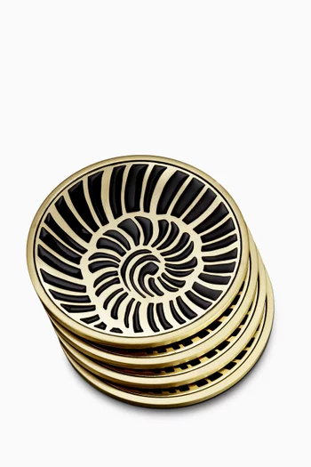 Seashell Coasters, Set of 4  