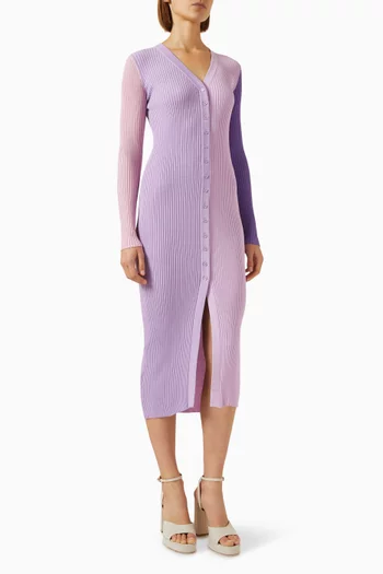 Shoko Sweater Dress in Ribbed Knit