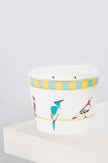 Sarb Naseem Candle, 500g     