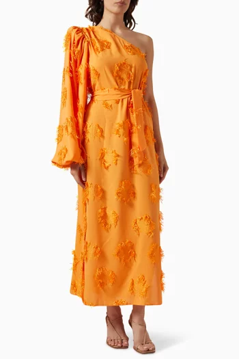 One-shoulder Fringe & Floral Appliqué Maxi Dress