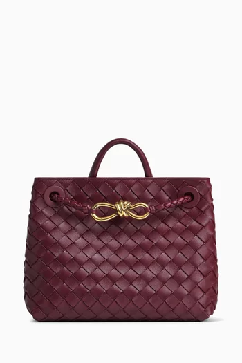 Small Andiamo in Intrecciato Leather
