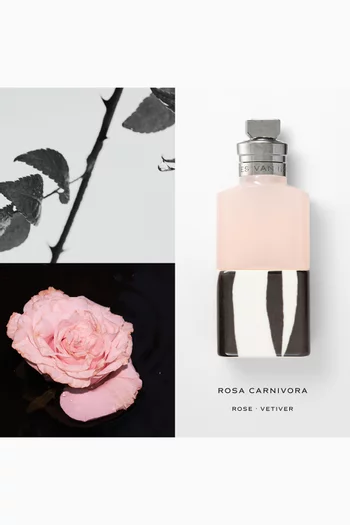 ماء عطر روزا كارنيفورا، 100 ملل