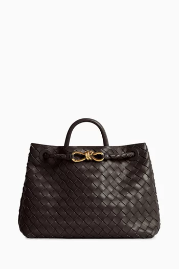 Medium Andiamo Crossbody Bag in Intrecciato Leather