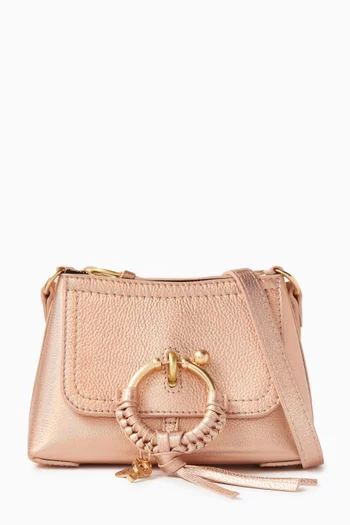 Mini Joan Crossbody Bag in Leather