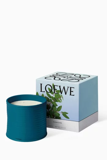 Large Incense Candle, 2200g