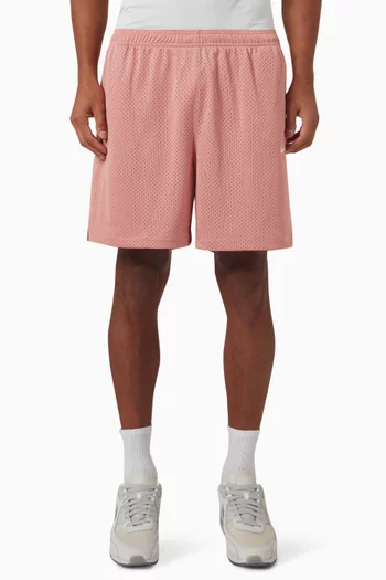 Swoosh Shorts in Mesh