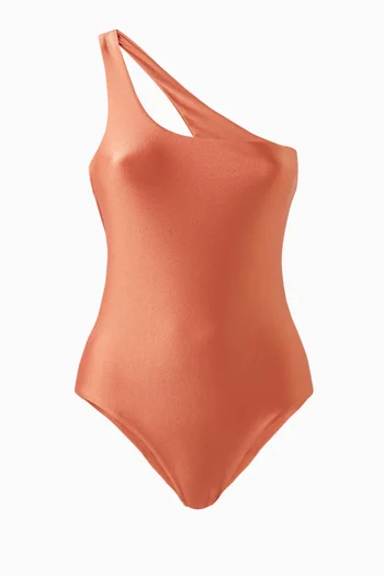 Evolve One-piece Swimsuit