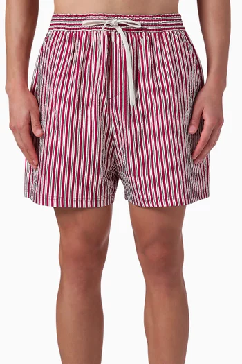 Stan Striped Swim Shorts in Seersucker