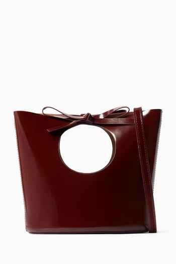 Ballet Clutch Crossbody Bag in Leather