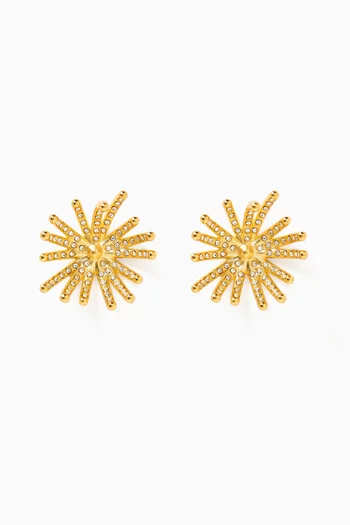 Firework Crystal Stud Earrings in Brass