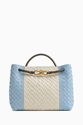 Bottega veneta handbag price top