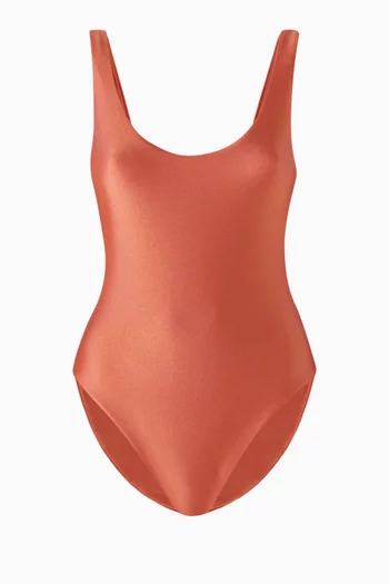 Contour One-piece Swimsuit in Stretch Nylon