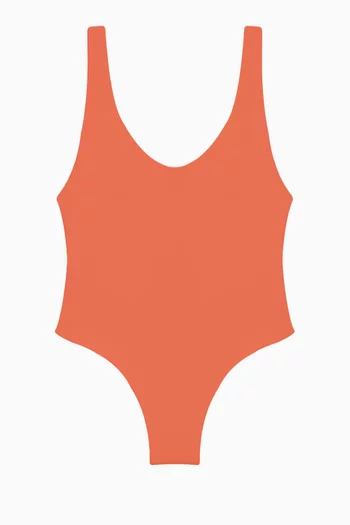 Contour One-piece Swimsuit in Matte Nylon