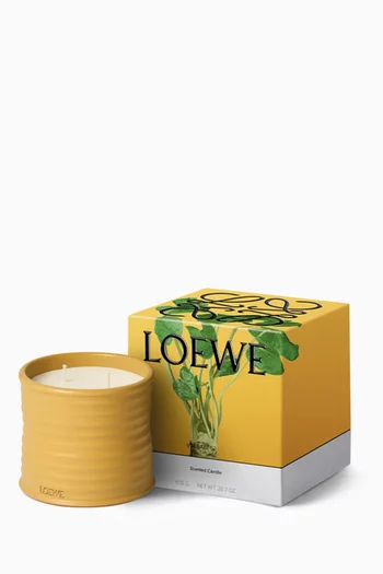 Medium Wasabi Candle, 600g