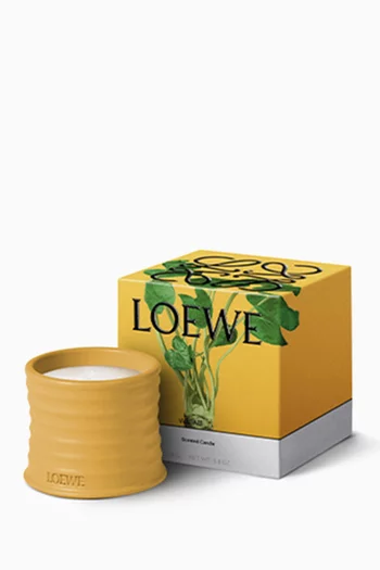 Small Wasabi Candle, 170g