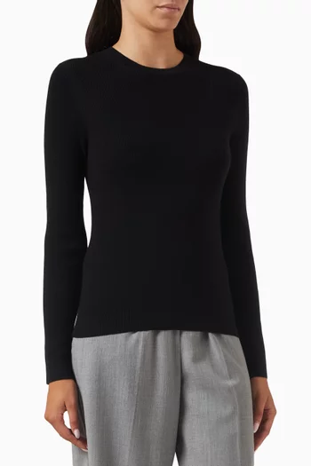 Round Neck Sweater in Merino Wool