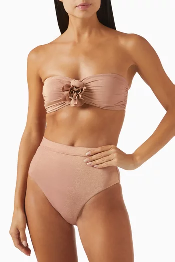 Everley Bikini Briefs in Stretch Nylon