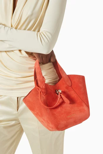 Small Hobo Bag in Suede