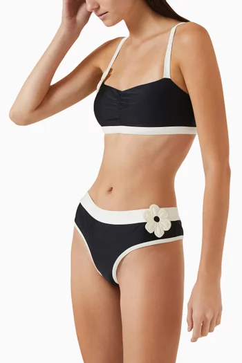 Amalie Bikini Briefs in Nylon-blend