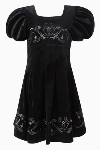 Embroidered Mini Dress in Velour