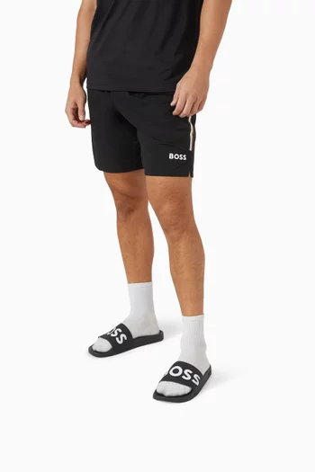 Aryeh Logo Slides in PVC