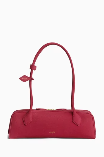 Medium Le Teckel Bag in Nubuck Leather