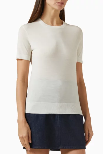 Classic T-shirt in Merino Wool Knit
