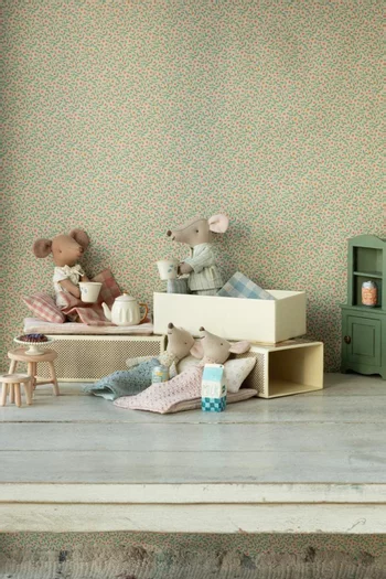 Little Brother Mouse in Matchbox Bed