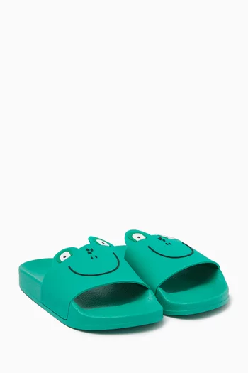 Frog Graphic Slides