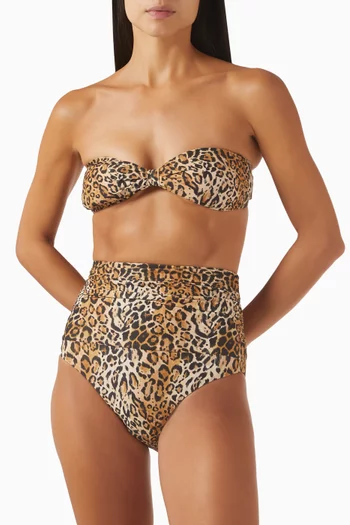 Catania Leopard-print Bikini Briefs in Stretch Nylon