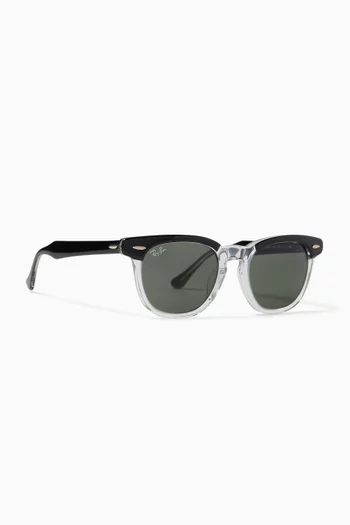 Wayfarer™ Sunglasses