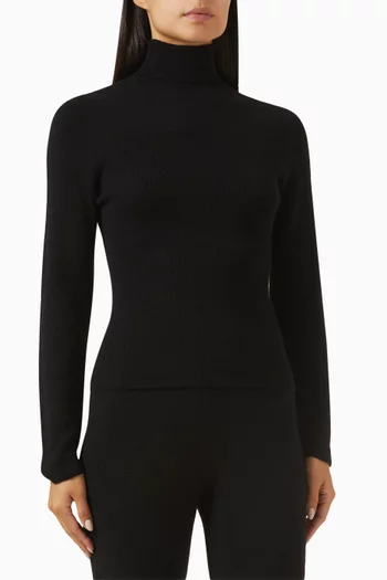 Delicash Turtleneck Sweater in Cashmere